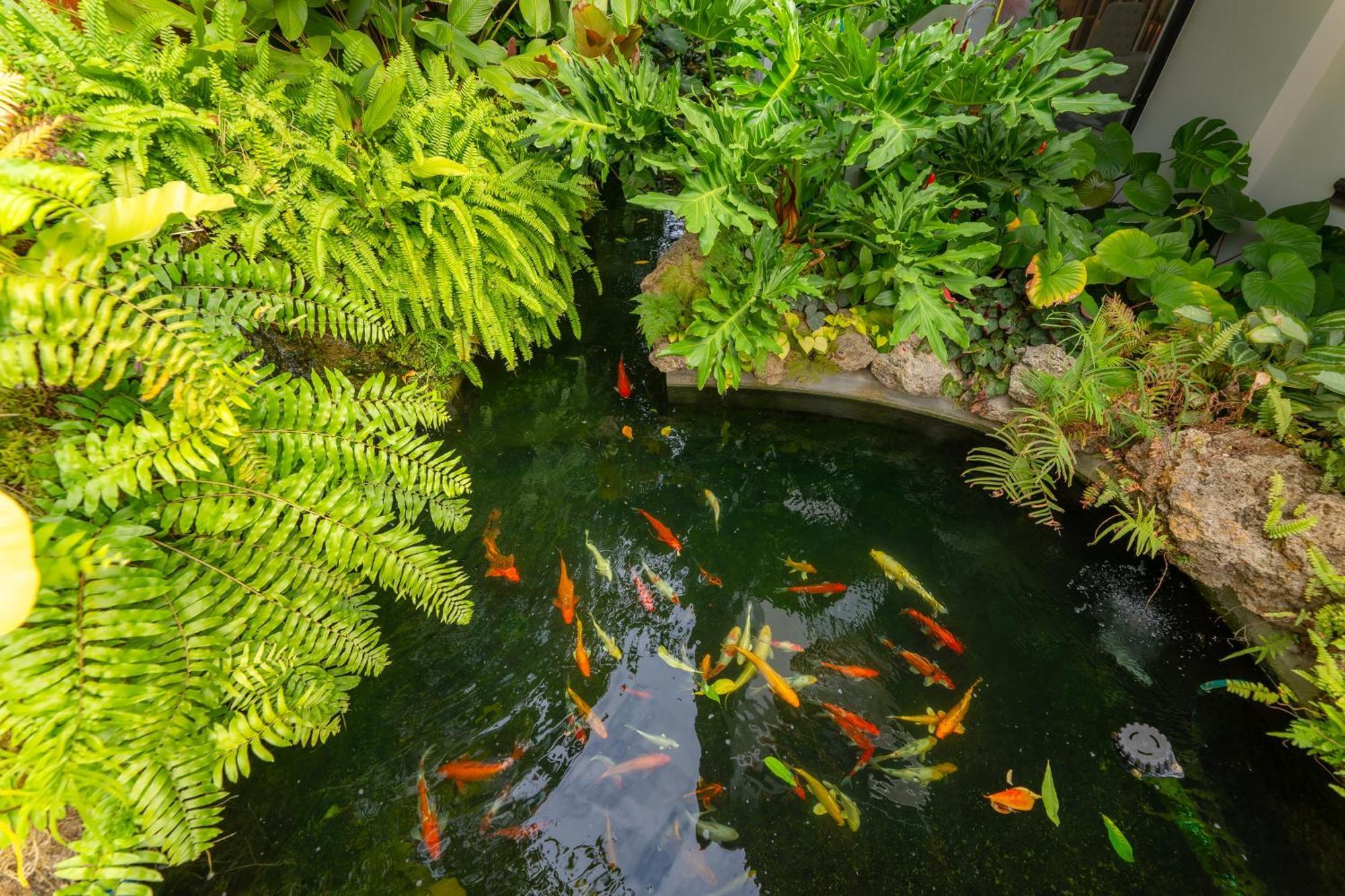 Verbena Chiangmai Chiang Mai